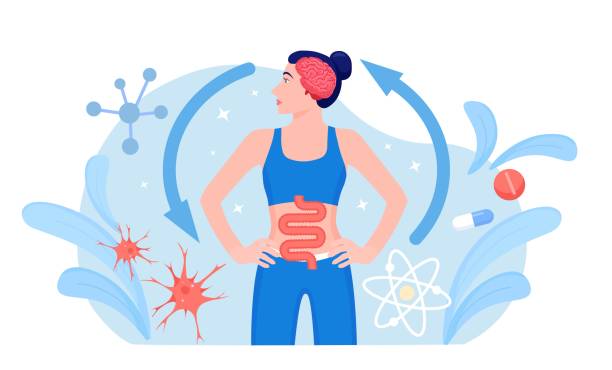 Descanso y Entrenamiento: Su Impacto en la Inflamación Abdominal